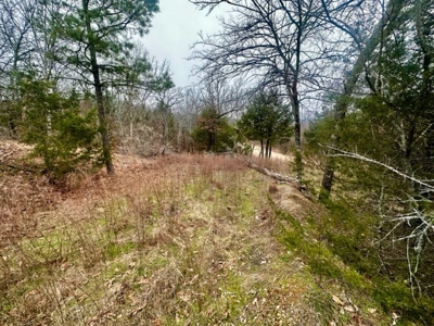 Land for Sale Sardis Lake Views Clayton, OK- Building Tract - image 5