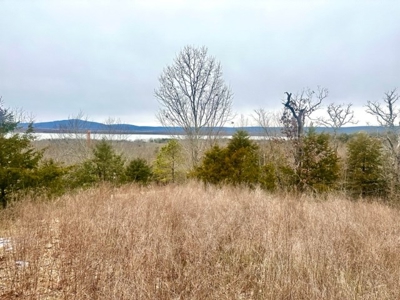 Land for Sale Sardis Lake Views Clayton, OK- Building Tract - image 8