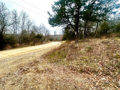 Land for Sale Sardis Lake Views Clayton, OK- Building Tract - image 1