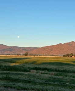 442.9 Ac-3 homes, a meat processing bldg, barns, workshop+++ - image 30