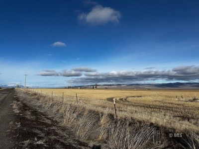 442.9 Ac-3 homes, a meat processing bldg, barns, workshop+++ - image 5