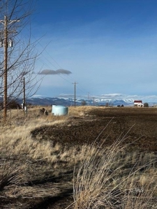 442.9 Ac-3 homes, a meat processing bldg, barns, workshop+++ - image 6