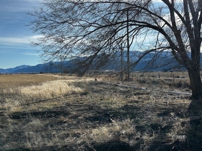 442.9 Ac-3 homes, a meat processing bldg, barns, workshop+++ - image 8