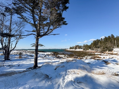 Maine Coastal Land for sale - image 8