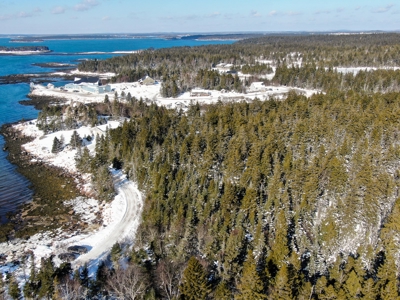 Maine Coastal Land for sale - image 4