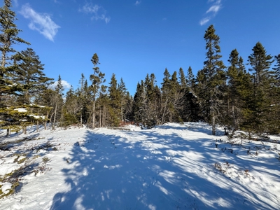 Maine Coastal Land for sale - image 14
