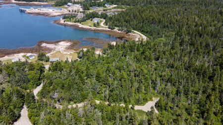 Maine Coastal Land for sale - image 2