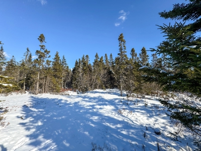 Maine Coastal Land for sale - image 12