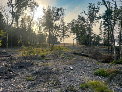 Maine Coastal Land for sale - image 12