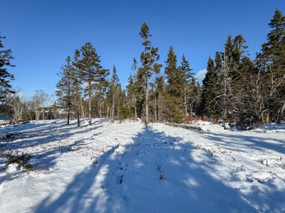 Maine Coastal Land for sale - image 16