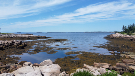Maine Coastal Land for sale - image 8