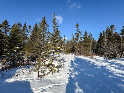 Maine Coastal Land for sale - image 13