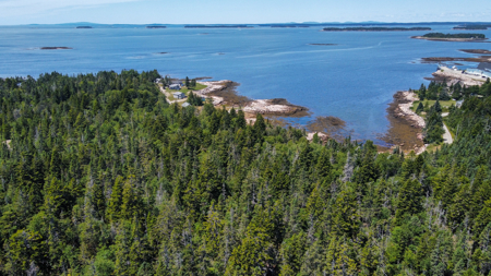Maine Coastal Land for sale - image 5