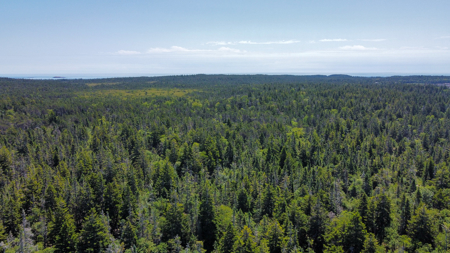 Maine Coastal Land for sale - image 6