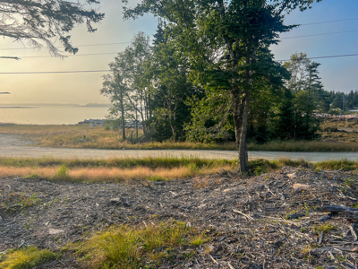 Maine Coastal Land for sale - image 11