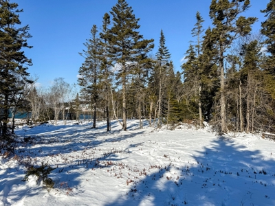 Maine Coastal Land for sale - image 15