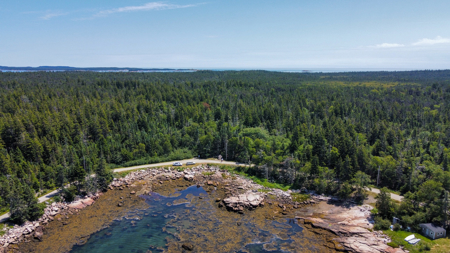 Maine Coastal Land for sale - image 4