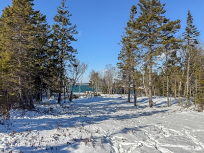 Maine Coastal Land for sale - image 17