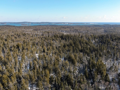 Maine Coastal Land for sale - image 5