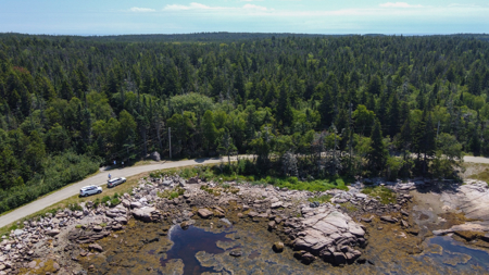 Maine Coastal Land for sale - image 7