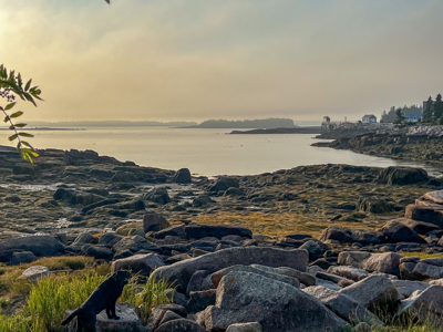 Maine Coastal Land for sale - image 13