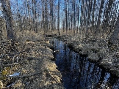 53 acre proven hunting property in Marquette County WI - image 45