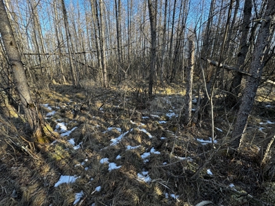 53 acre proven hunting property in Marquette County WI - image 44