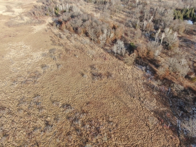 53 acre proven hunting property in Marquette County WI - image 9