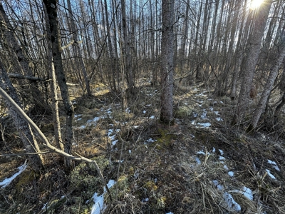 53 acre proven hunting property in Marquette County WI - image 43