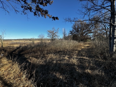 53 acre proven hunting property in Marquette County WI - image 49