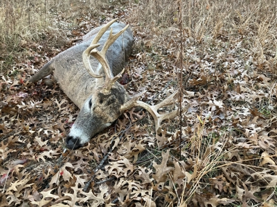 53 acre proven hunting property in Marquette County WI - image 24