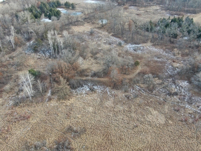 53 acre proven hunting property in Marquette County WI - image 20