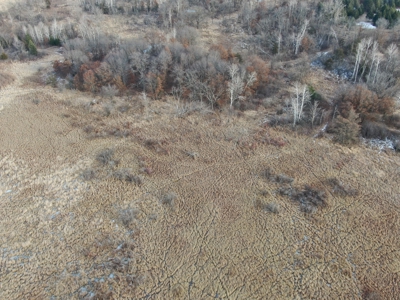 53 acre proven hunting property in Marquette County WI - image 19