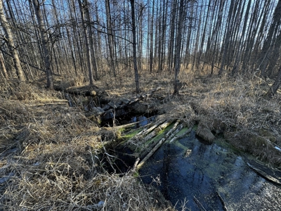 53 acre proven hunting property in Marquette County WI - image 46