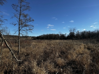 53 acre proven hunting property in Marquette County WI - image 48