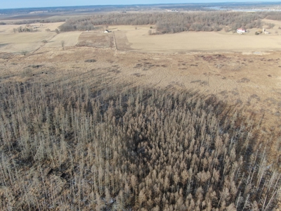 53 acre proven hunting property in Marquette County WI - image 10