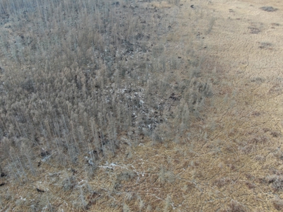 53 acre proven hunting property in Marquette County WI - image 21