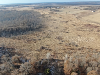 53 acre proven hunting property in Marquette County WI - image 7