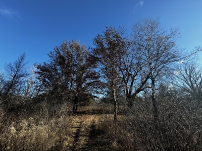 53 acre proven hunting property in Marquette County WI - image 50