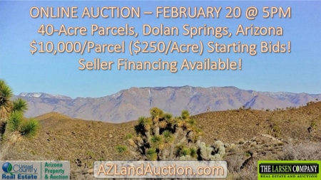 Online Land Auction 40 Acre Parcels (Dolan Springs, Az) - image 1