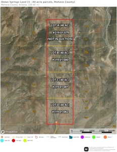 Online Land Auction 40 Acre Parcels (Dolan Springs, Az) - image 25