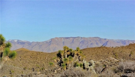 Online Land Auction 40 Acre Parcels (Dolan Springs, Az) - image 20