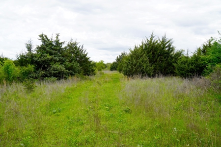 Hunting/Recreational Land For Sale, Kendrick, Ok - image 8