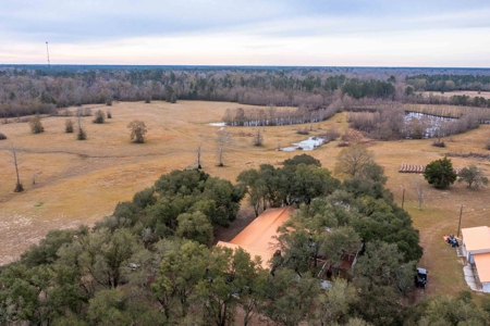 820 Acre Hunting Estate - Kinder LA  -  Allen Parish - image 12