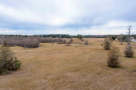 820 Acre Hunting Estate - Kinder LA  -  Allen Parish - image 28