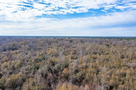 820 Acre Hunting Estate - Kinder LA  -  Allen Parish - image 47