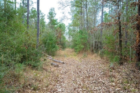 820 Acre Hunting Estate - Kinder LA  -  Allen Parish - image 35