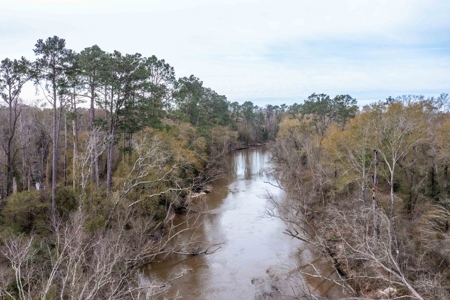 820 Acre Hunting Estate - Kinder LA  -  Allen Parish - image 41