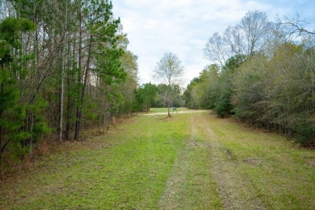 820 Acre Hunting Estate - Kinder LA  -  Allen Parish - image 2