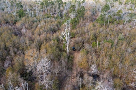 820 Acre Hunting Estate - Kinder LA  -  Allen Parish - image 16